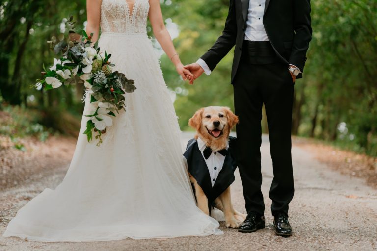 Braut und Bräutigam mit Hund Freie Rednerin Brühl begleitet Hochzeit mit Hund