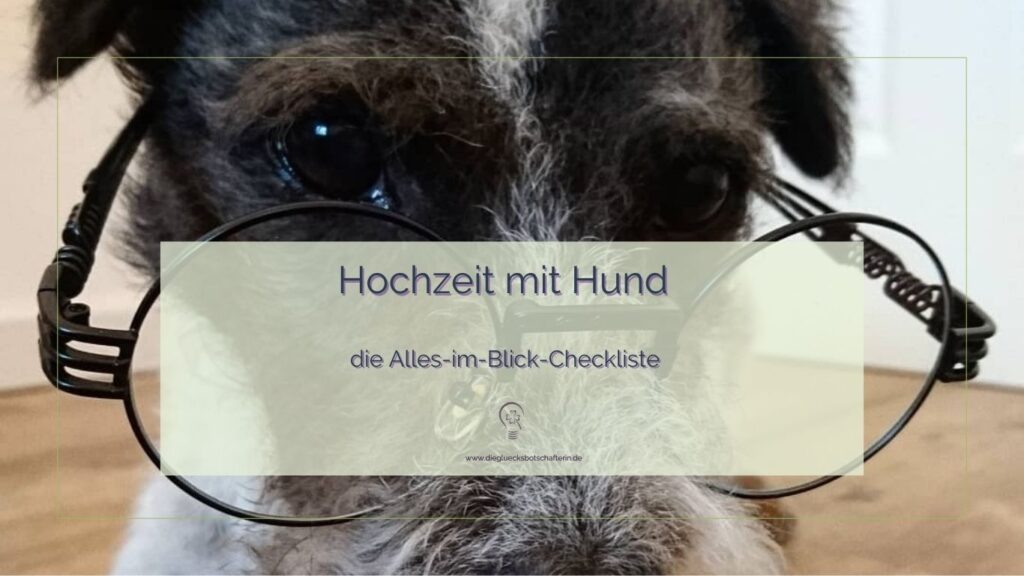 Heiraten mit Hund. Traurednerin Bonn gibt Tipps