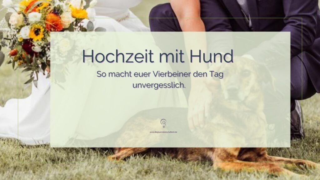 Hochzeit mit Hund. Traurednerin für Köln gibt Tipps