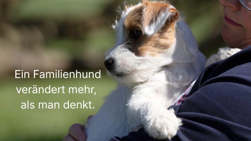 Familienhund, Hunde-Willkommenszeremonie