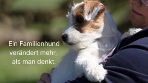 Familienhund, Hunde-Willkommenszeremonie